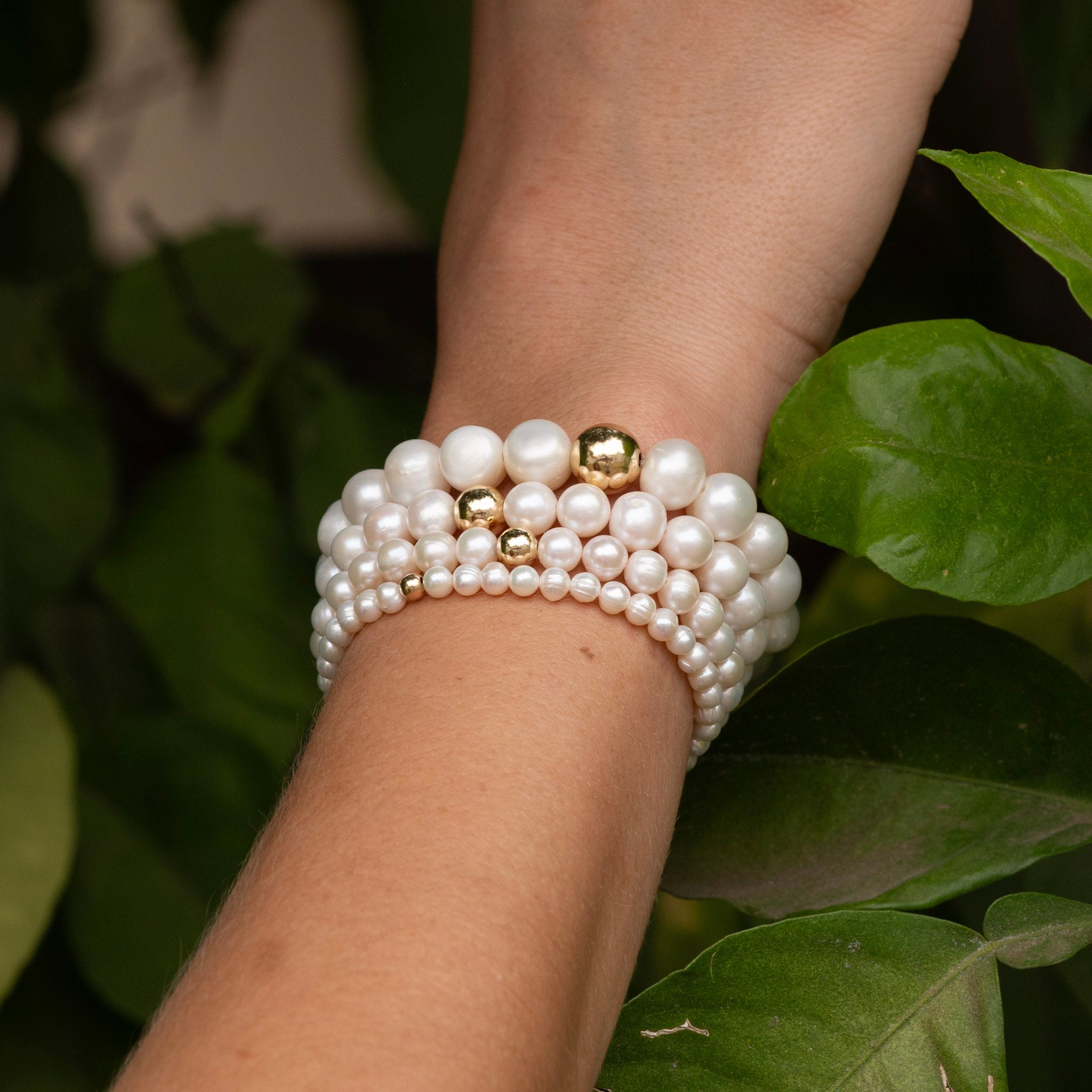 Pearl Collection