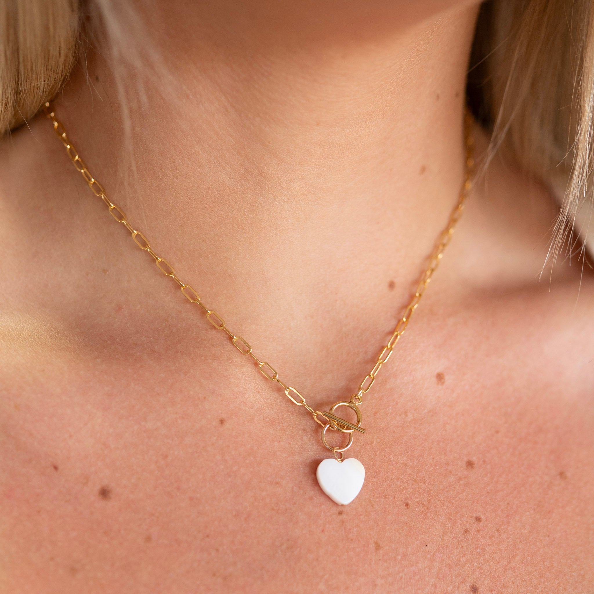 Small Paperclip Toggle Necklace & Charm Set