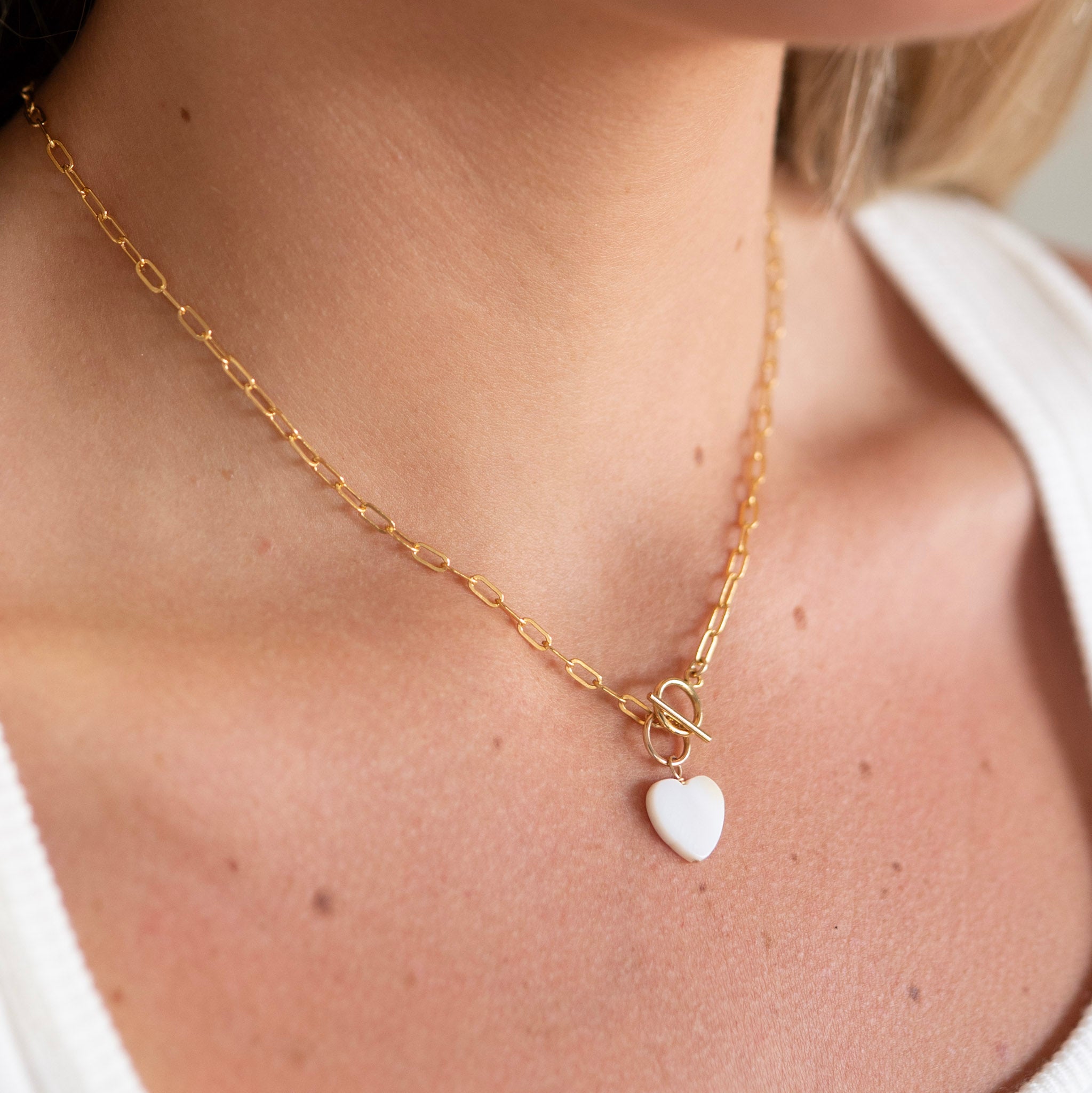 Small Paperclip Toggle Necklace & Charm Set